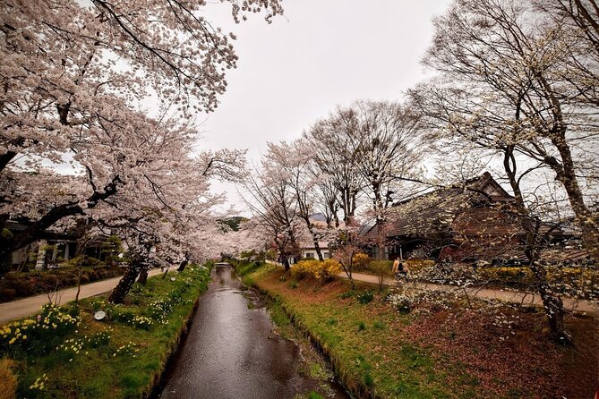 Mt Fuji Day Trip From Tokyo by Car With Photographer Guide - Traveler Photos and Reviews