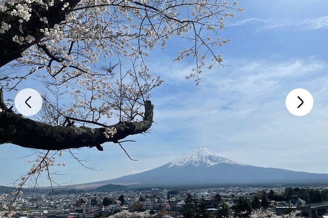 Mt. Fuji, Hakone Full-Day Private Tour With English Driver Guide - Additional Details on Host Responses and Drivers Professionalism