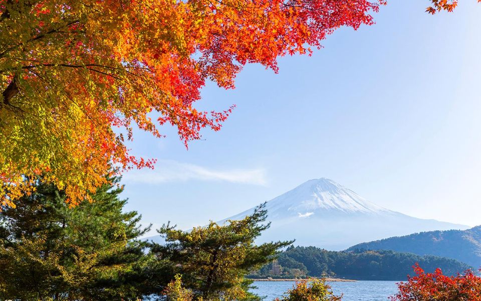 Mt Fuji : Highlight Tour and Unforgettable Experience - Chureito Pagoda Shrine Visit