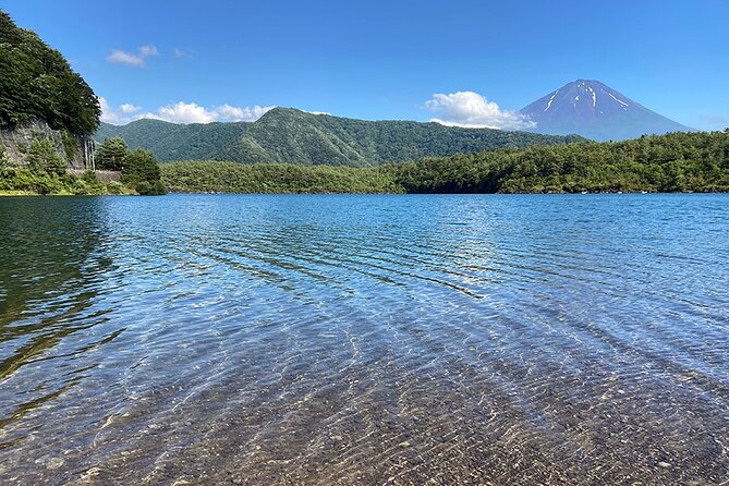 Mt Fuji Japanese Crafts Village and Lakeside Bike Tour - Pricing Details