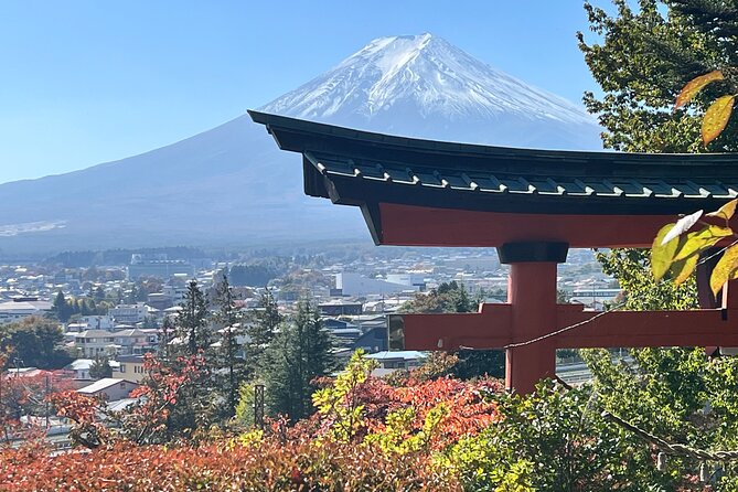 Mt. Fuji Private Sightseeing With Bilingual Chauffeur - Review Analysis