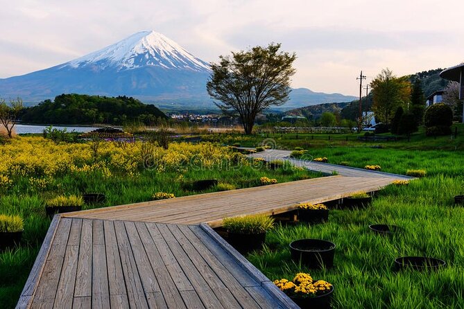 Mt. Fuji Private Tour With English Speaking Driver - Customer Reviews and Ratings