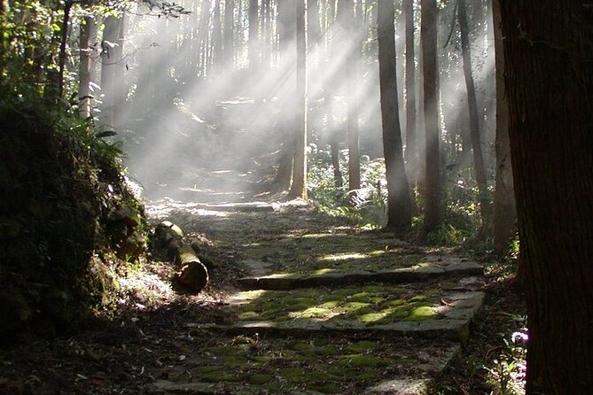 Mt Koya and Kumanokodo Walking 3 Day Tour From Osaka - Last Words