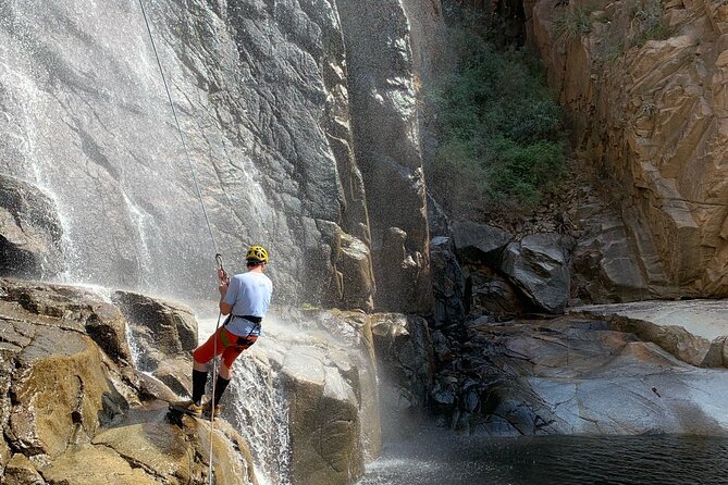 Mt. Lemmon Half Day Rock Climbing or Canyoneering in Arizona - Reviews and Support