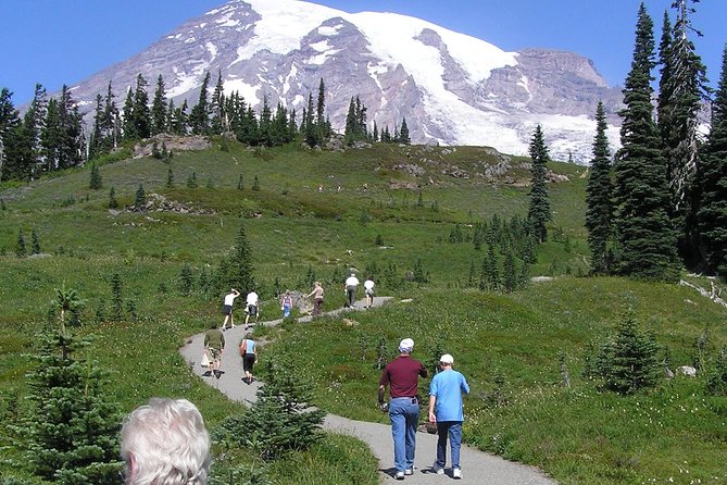 Mt. Rainier Day Tour From Seattle - Recommendations