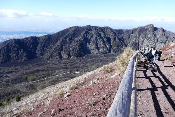 Mt Vesuvius Half-Day Trip From Naples - Meeting and Tour Organization