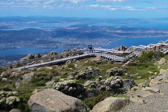 Mt Wellington Tour and MONA Admission - Ratings and Reviews
