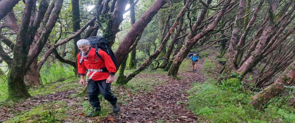 Muldai ,Poon Hill and Mohare Trek - Inclusions