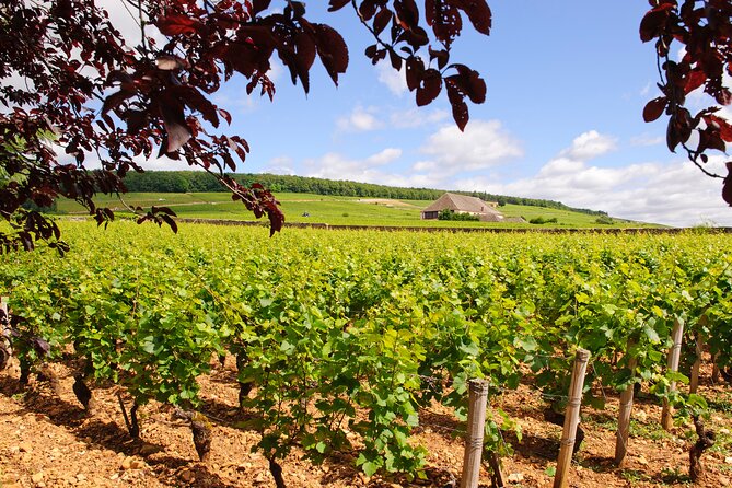 Multi Day Private Tour of Côte De Nuits and Côte De Beaune - Additional Information Provided