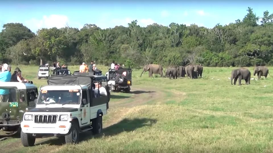 Multi-Day Tour: Udawalawe National Park Elephant Safari - Cancellation Policy