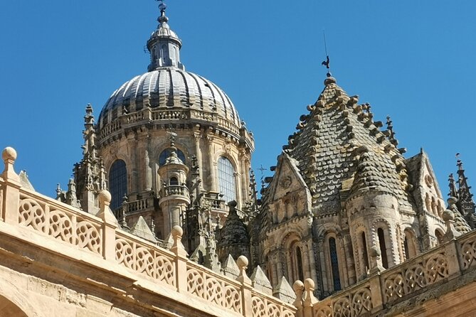 Must See Salamanca Walking Tour (Could Be Billingual) - Traveler Resources