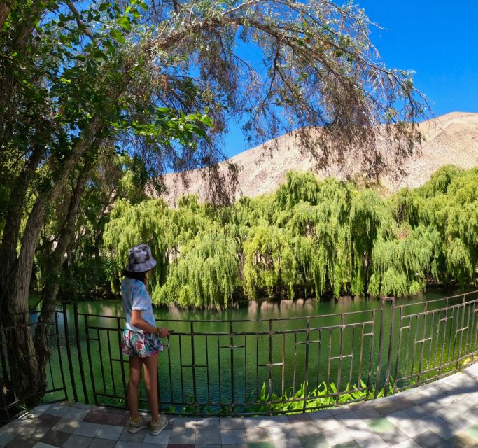 Must-sees of the Elqui Valley - Organic Vineyard Tour in Paihuano