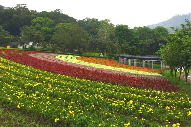 N110 Shihmen Reservoir Daxi Huahai Farm Daxi Old Tea Factory Daxi Old Street Day Tour (10h) - Pickup and Drop-off Details