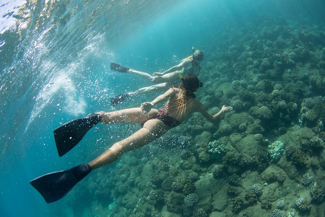Na Pali Coast Kauai Snorkel and Sail - Traveler Experience Highlights