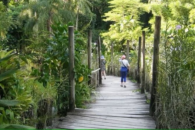 Nadi Guided Tour Plus Temple, Market, Garden, Mud Bath, Pickup (Mar ) - Customer Feedback and Reviews