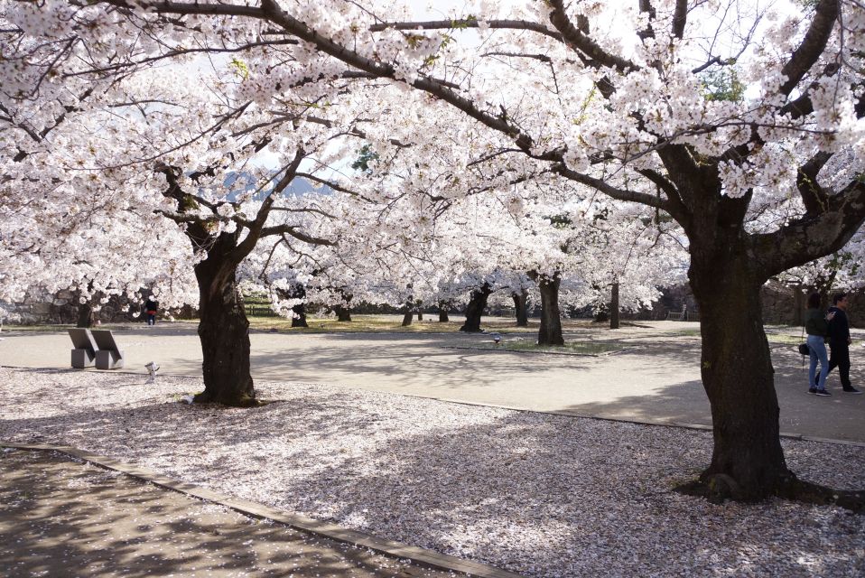Nagano: 1-Day Snow Monkey & Cherry Blossom Tour in Spring - Lunch Experience