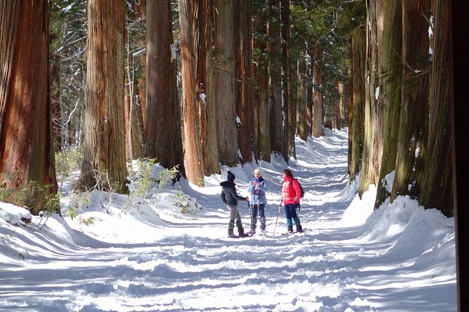 Nagano Winter Special Tour "Snow Monkey and Snowshoe Hiking"!! - Meeting Information