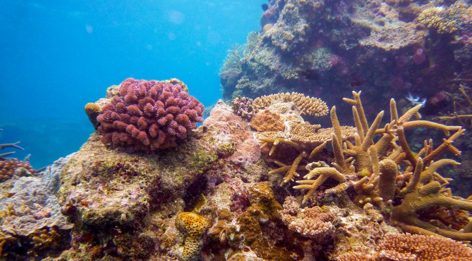 Naha, Okinawa: Kerama Islands Full-Day Intro-Diving Trip - Product Details