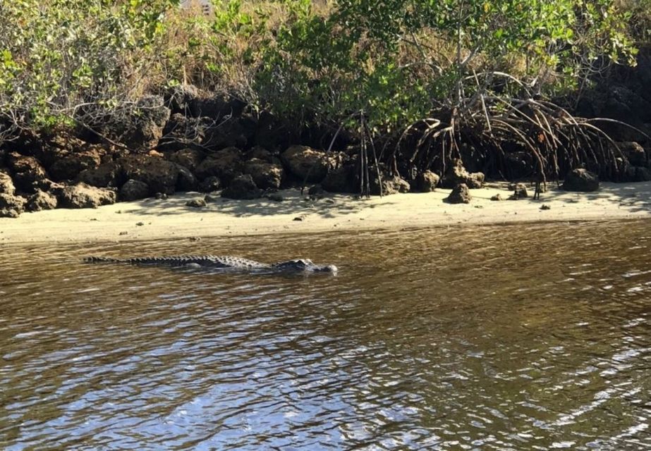 Naples, FL: Manatee, Dolphin, & 10,000 Islands Sunset Cruise - Directions