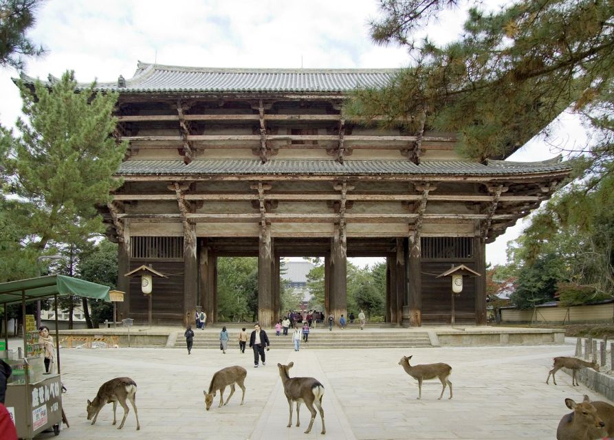 Nara: Audio Guide Delve Into Todai-Ji & Kasuga Taisha - Benefits of Using the Audio Guide