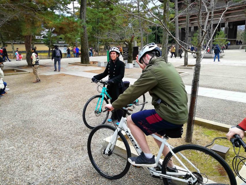 Nara: Nara Park Private Family Bike Tour With Lunch - Tour Highlights and Inclusions