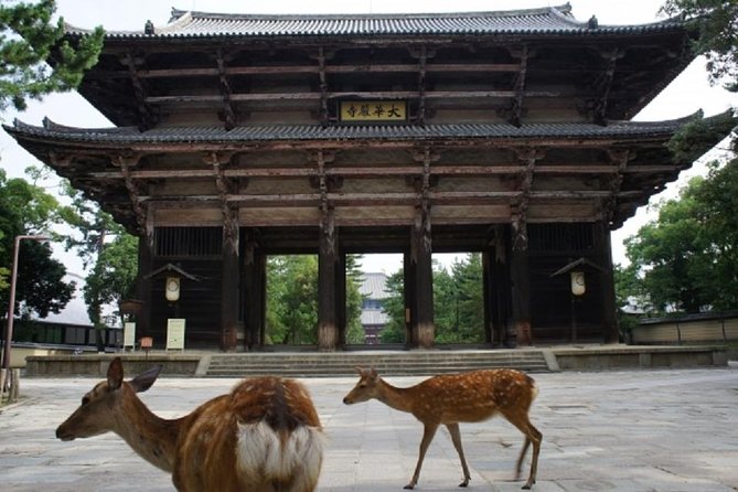 Nara Private Tour by Public Transportation From Osaka - Pricing Details and Group Discounts
