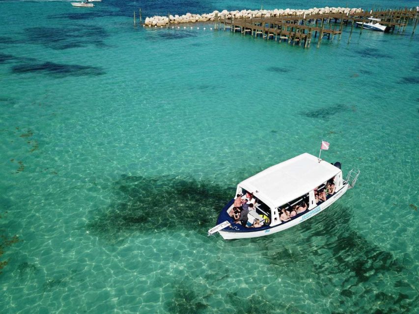 Nassau: Glass Bottom Boat, Banana Boat and Snorkelling Tour - Customer Reviews and Testimonials