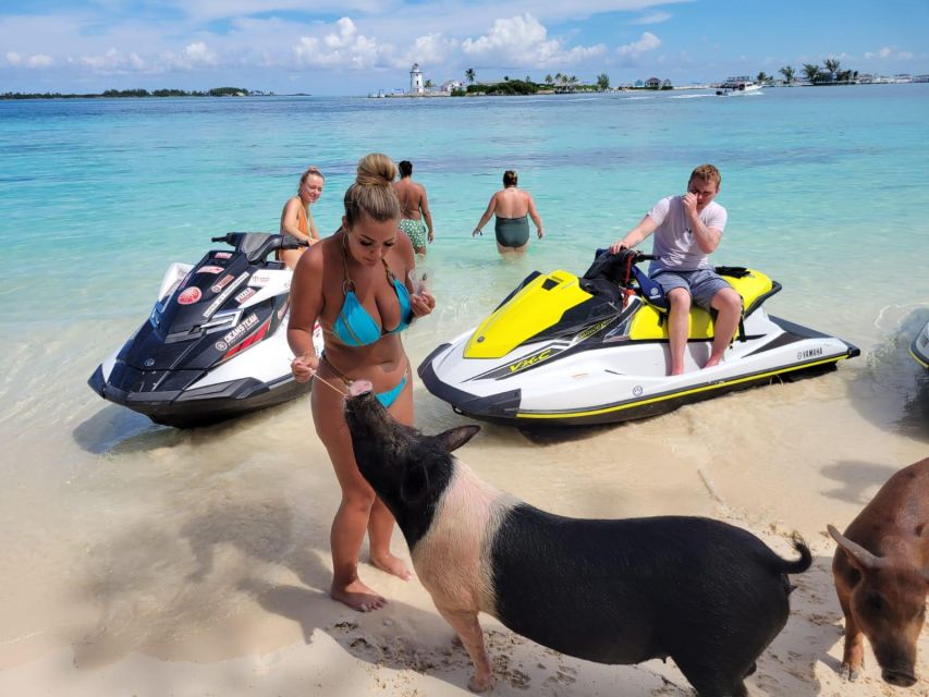 Nassau: Guided Jet Ski Tour and Swimming With Pigs - Meeting Point