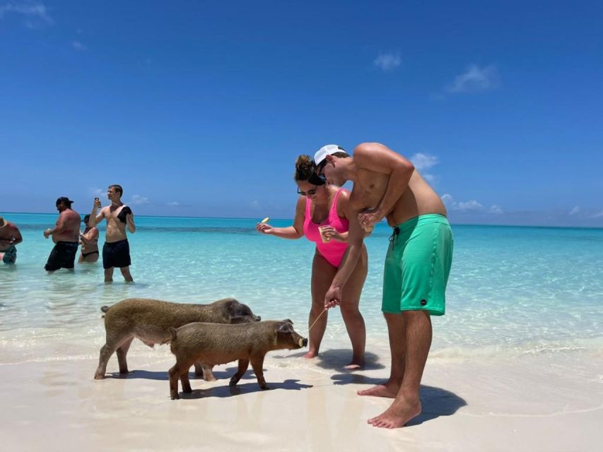 Nassau: Half-Day Guided Cay Cruise, Sea Life Watch & Snorkel - Tour Pricing and Options