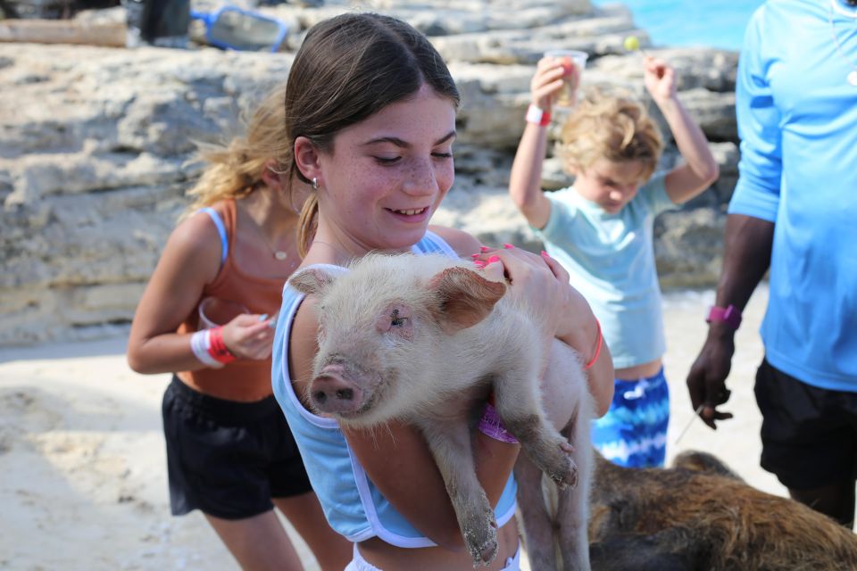 Nassau: Pig Island Swimming With the Pigs - Enjoy Bahamian Cuisine and Drinks