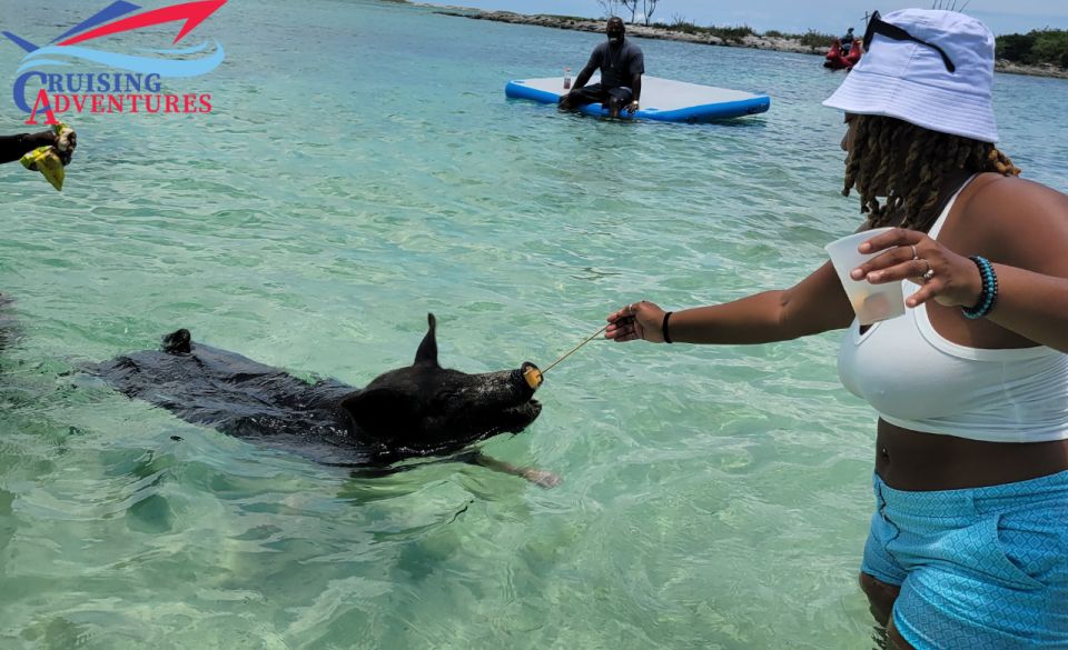 Nassau: Self-Drive Speedboat Ride and Pig Swimming Encounter - Language and Guide Options