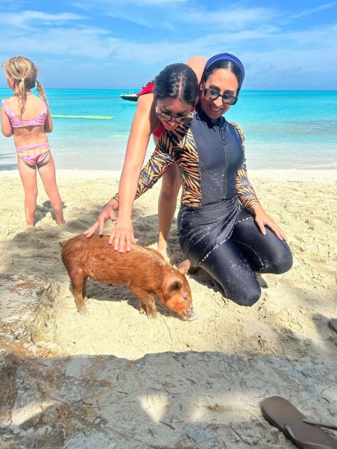 Nassau: Swimming Pigs, Turtle Viewing, Snorkeling, and Lunch - Review Summary