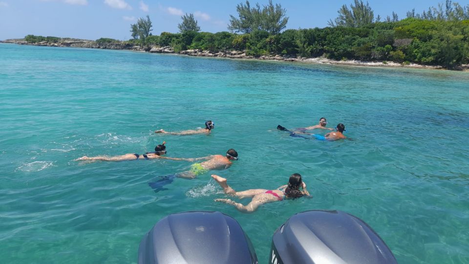 Nassau: Swimming With Pigs, Snorkeling, and Sightseeing Tour - Customer Reviews