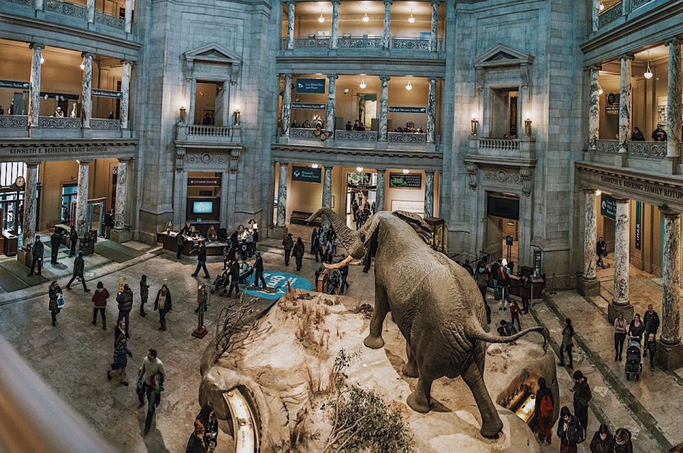 National Museum of Natural History Guided Tour - Expertly Guided Tour Experience