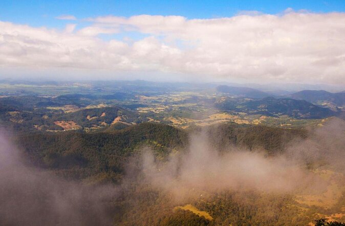 Natural Bridge & Springbrook Waterfalls Tour - Tour Experience Highlights