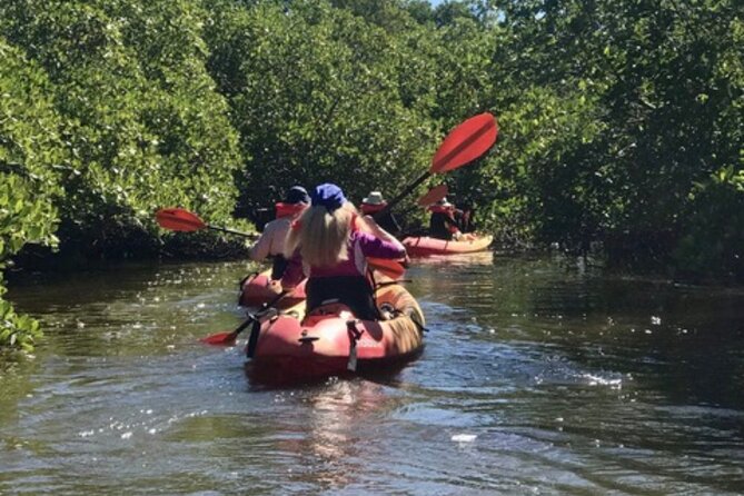 Nauti Exposures - Guided Kayak Tour Through the Mangroves - Additional Information