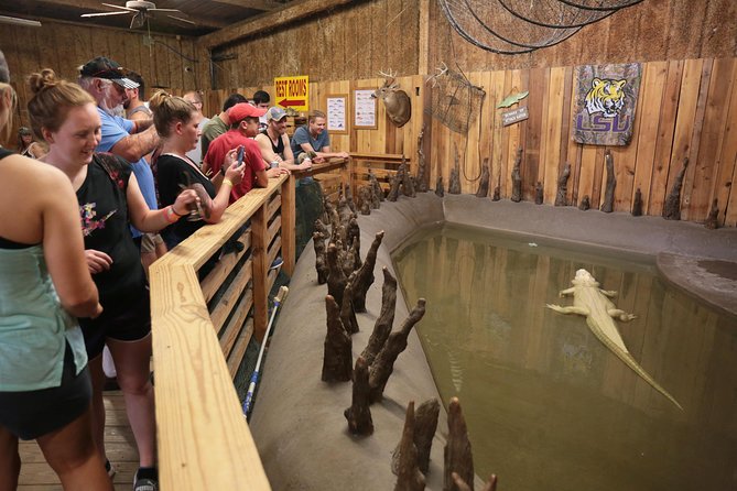 New Orleans Airboat Ride - Overall Experience