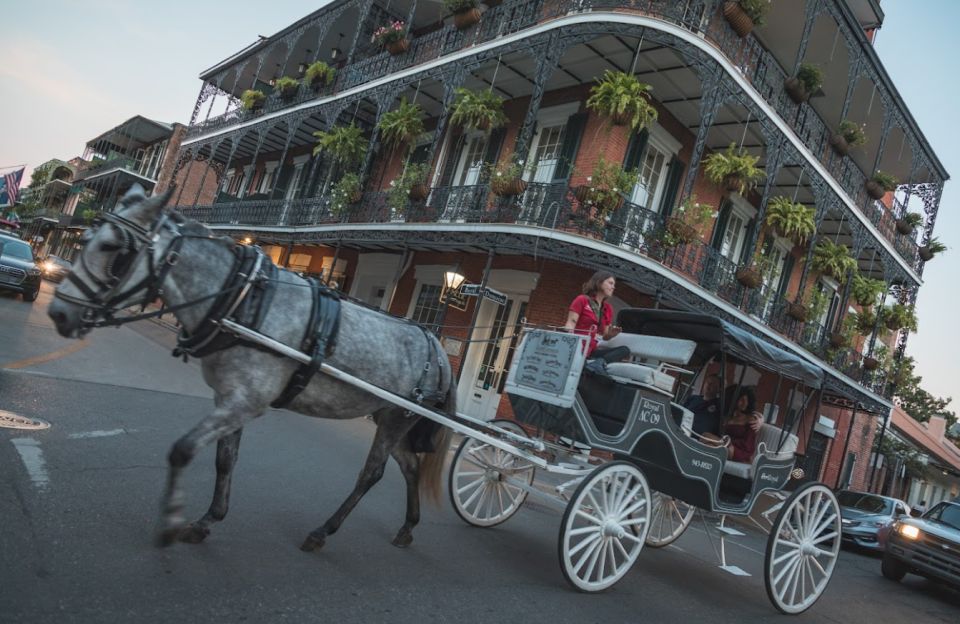 New Orleans City Walking Tour - Inclusions and Amenities