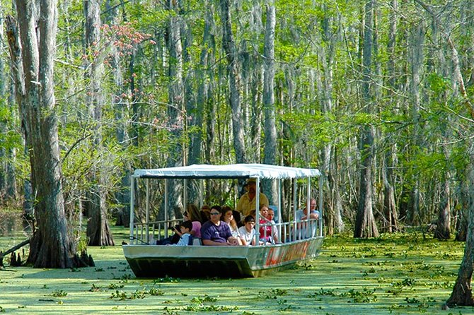New Orleans Swamp and Bayou Boat Tour With Transportation - Booking and Reservation Details