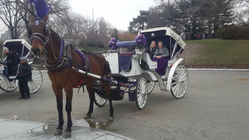 New York: Carriage Ride in Central Park - Payment and Reservation