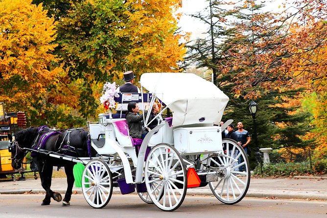 New York City: Central Park Private Horse-and-Carriage Tour (Mar ) - Customer Reviews