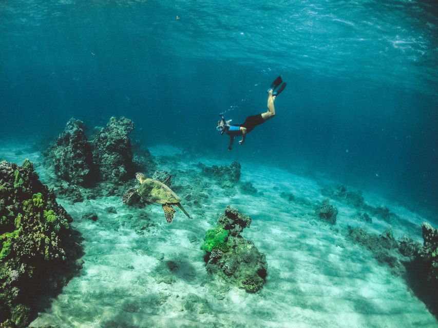 Night Snorkeling in Mirissa - Benefits of Night Snorkeling