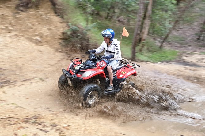 Noosa Quad Bike Tours - Booking and Reviews