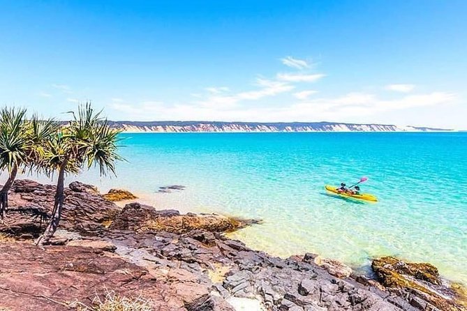 Noosa to Double Island Point Kayaking With Dolphins Day Trip  - Noosa & Sunshine Coast - Wildlife Encounters