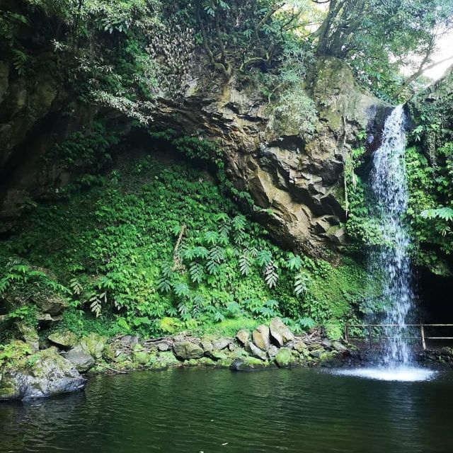 Nordeste Waterfalls Half Day Hike - Tour Experience
