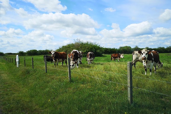 Normandy Battlefields Tour - American Sites (A3) - Historical Sites Visited on Tour