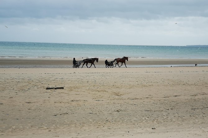 Normandy Beaches Half-Day Afternoon Trip From Bayeux (A2) - Frequently Asked Questions