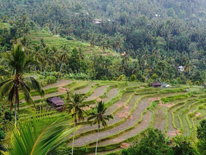 North Bali : Discover Sekumpul Waterfall & Ulun Danu Temple - Cancellation Policy