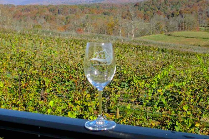 North Georgia Wine Country Tour From Atlanta - Itinerary Highlights