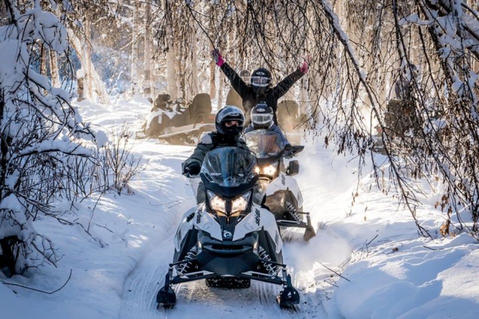 North Pole Alaska: Guided Fairbanks Snowmobile Tour - Customer Reviews